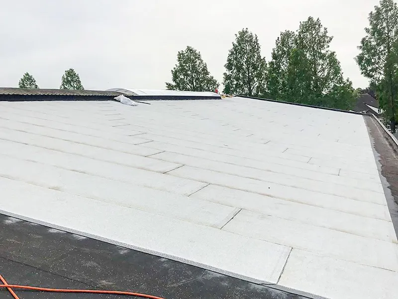 zeegers dakwerk - dakbedekking - coolroof